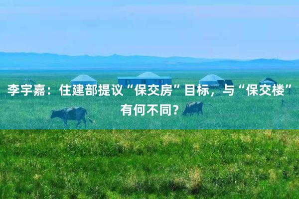 李宇嘉：住建部提议“保交房”目标，与“保交楼”有何不同？