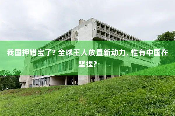 我国押错宝了? 全球王人放置新动力, 惟有中国在坚捏?