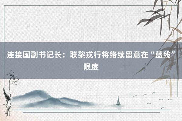 连接国副书记长：联黎戎行将络续留意在“蓝线”限度
