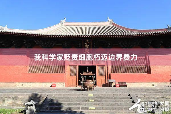 我科学家贬责细胞朽迈边界费力