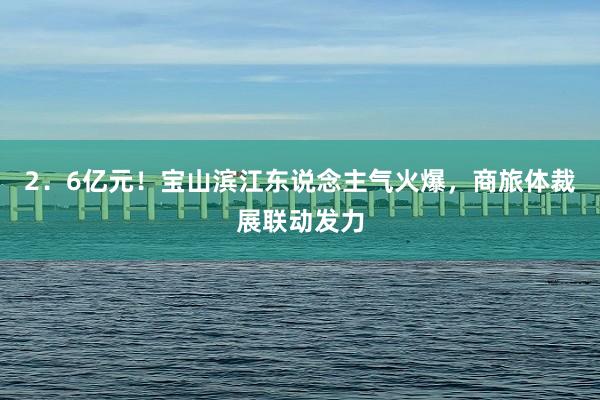 2．6亿元！宝山滨江东说念主气火爆，商旅体裁展联动发力